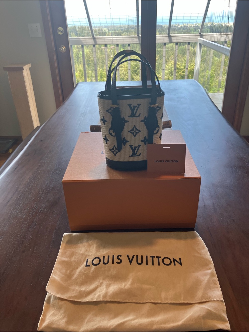 Louis Vuitton  by the pool nano Bucket tote Cream and Black like new! - Picture 4 of 13